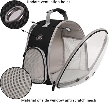 Guinea Pig Backpack Carrier, Reptile Outdoor Used, Bearded Dragon Carrier - Image 4