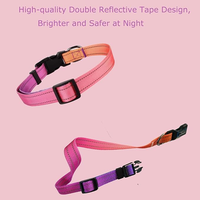Roses&Poetry Reflective Dog Collar - Image 7