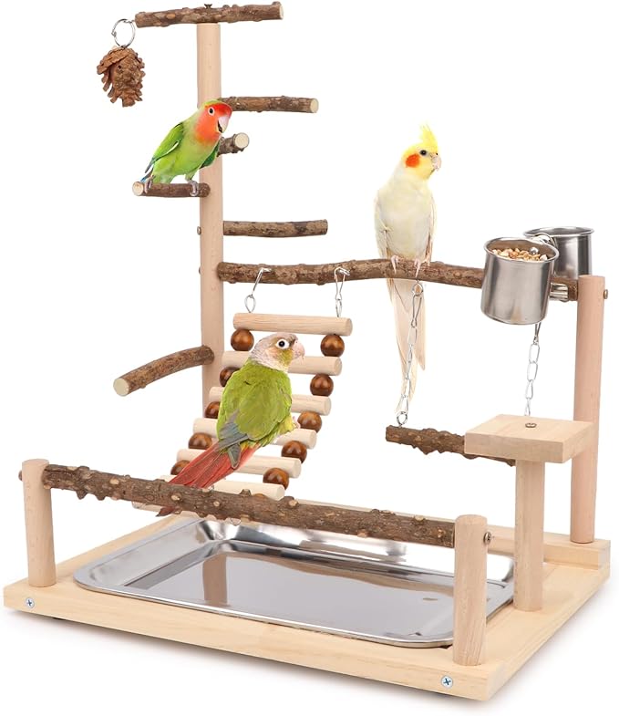 Wontee Bird Playground Wooden Bird Perch Stand Ladder Swing by Wontee