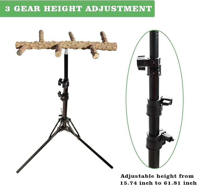 Wooden Bird Perch Stand with a Height Adjustable Tripod, Bird Training - Image 2