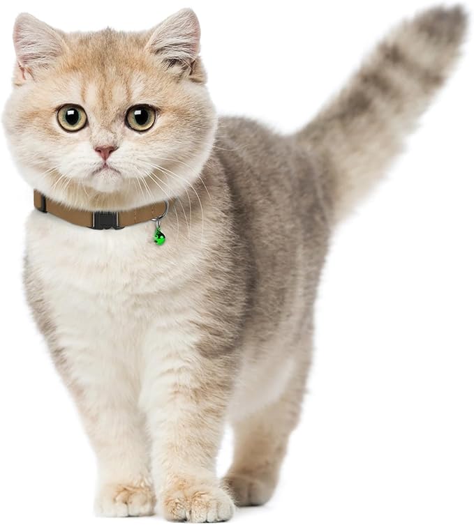 Breakaway Cat Collar Leather - Image 8