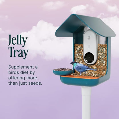 Birdbuddy 3-in-1 Nutrition Set - Image 4
