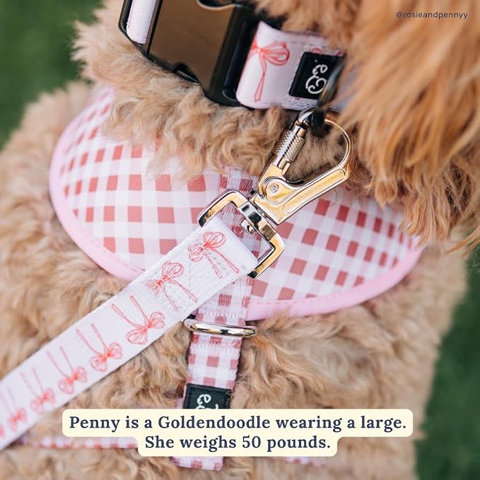 Lucy & Co. Ballet Bows Dog Collar - Image 5
