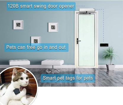 Olideauto Automatic Pet Door Opener - Image 4