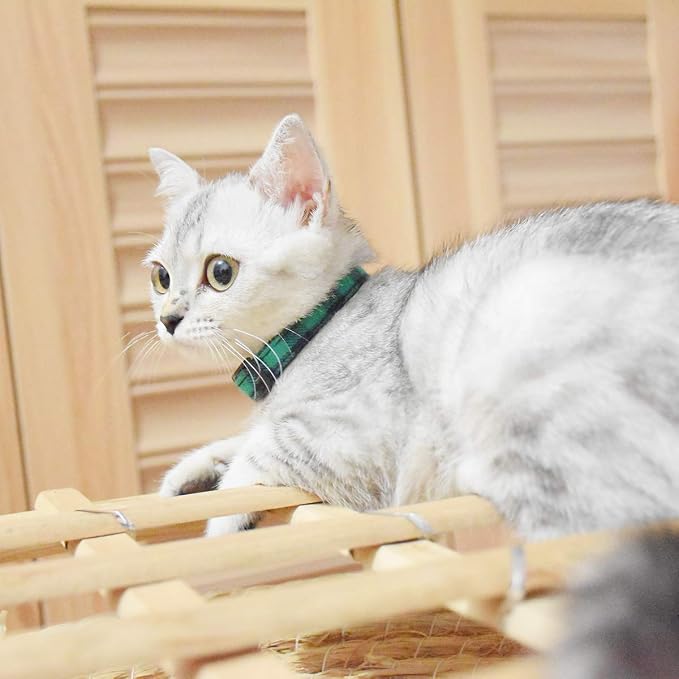 Breakaway cat Collars with Bell, Durable & Safe Cute Kitten Collars Safety - Image 5