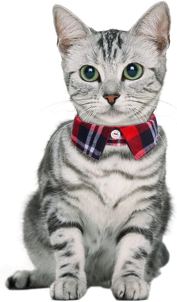 Faleela 2 Pack/Set Cat Collar - Image 5