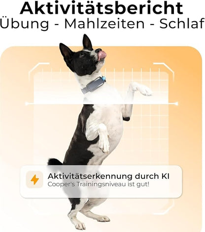 Invoxia Minitailz - Image 6