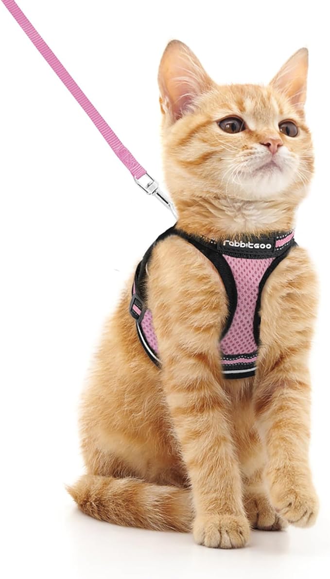 rabbitgoo Cat Harness and Leash Set by rabbitgoo