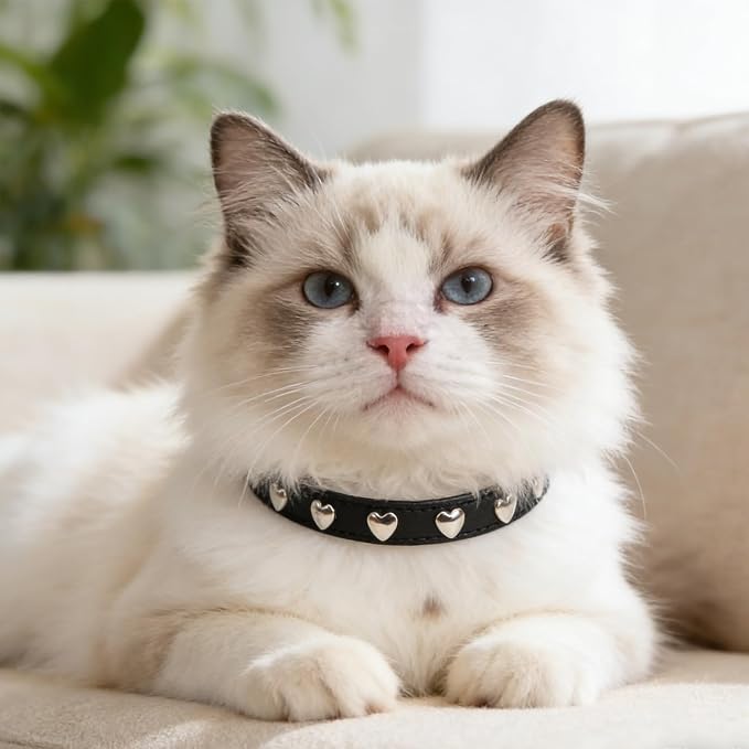 EXPAWLORER Leather Cat Collar for Girl Boy- Adjustable Pet Collar - Image 6