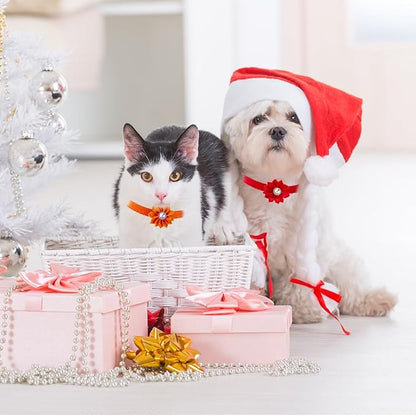 13Pcs Puppy Collars, Cat ID Collars - Image 5