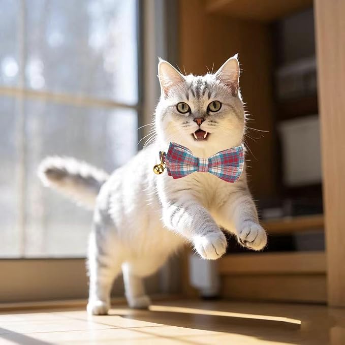 2 Pack Soft Cotton Cat Collars - Image 7