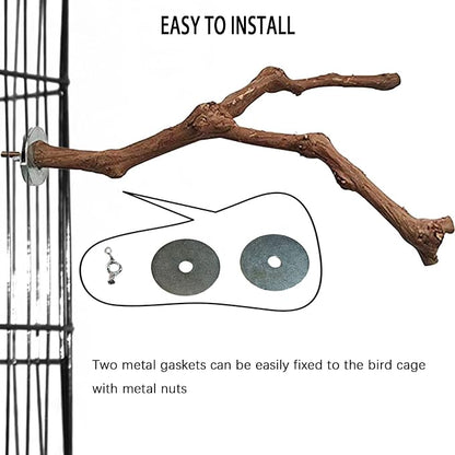 PINVNBY 2Pcs Wood Perches for Bird Cage, Natural Parrot Stand Branch Parakeet - Image 7