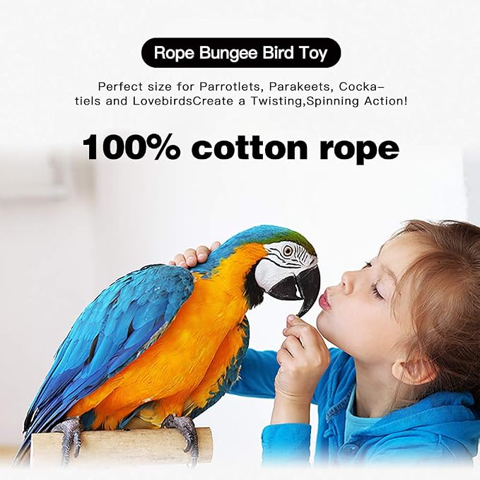 Bird Rope Perch Parakeet Toys, Spiral Cockatiel Toy, Cage Accessories - Image 6