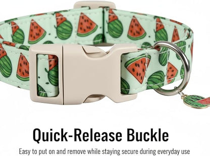 Summer Dog Collar for Large Dogs, Cute Dog Collar - Image 3