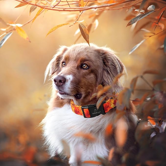 Fall Dog Collar, Soft Adjustable Cotton Holiday Dog Collars - Image 3