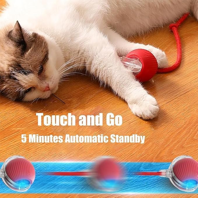 Valentines Day Gifts 2025 New Electric Dog Ball Toy, Electric Ball Dog Toy - Image 3