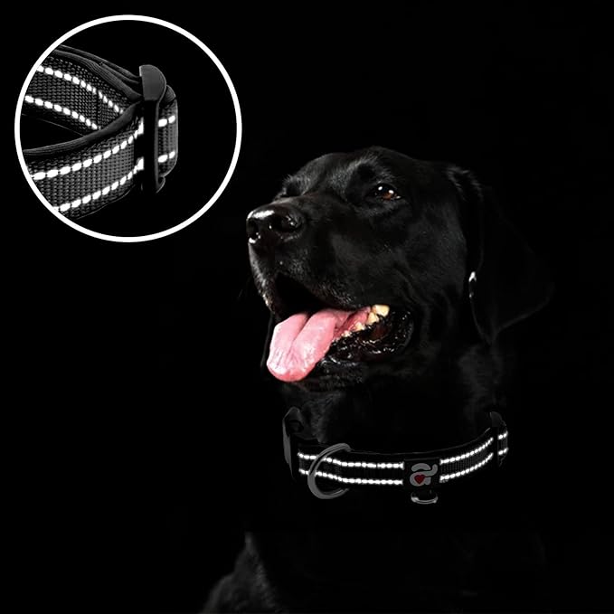 azuza Reflective Dog Collar, Soft Neoprene Padded Pet Collar - Image 4
