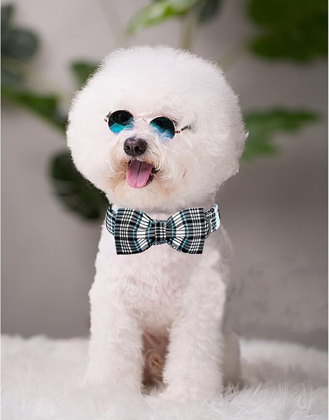 Lionheart glory Dog Bow Collar Blue and Black Plaid Dog Collar - Image 4