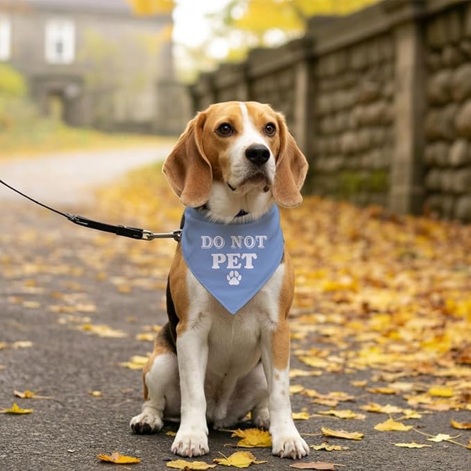 Do Not Pet Dog Bandana, Baby Blue Dog Bandana, Funny Cute Dog Bandana, Pet Dog - Image 5