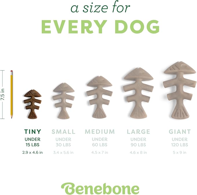 Benebone Tiny 2-Pack Fishbone Durable Dog Chew Toys, Real Fish Flavor, Made in - Image 4