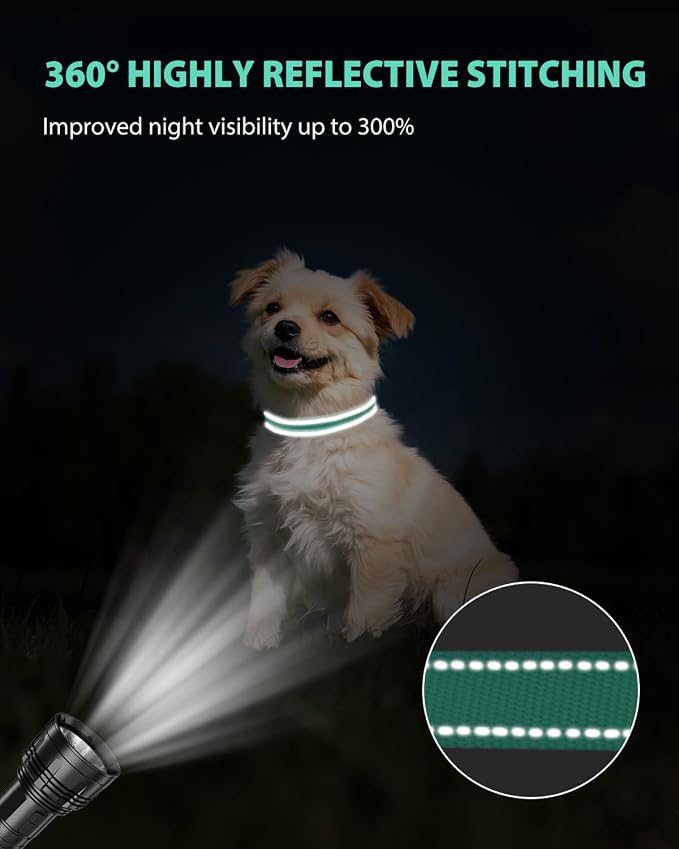 Joytale Small Dog Collar, Reflective and Adjustable Nylon Collar - Image 5