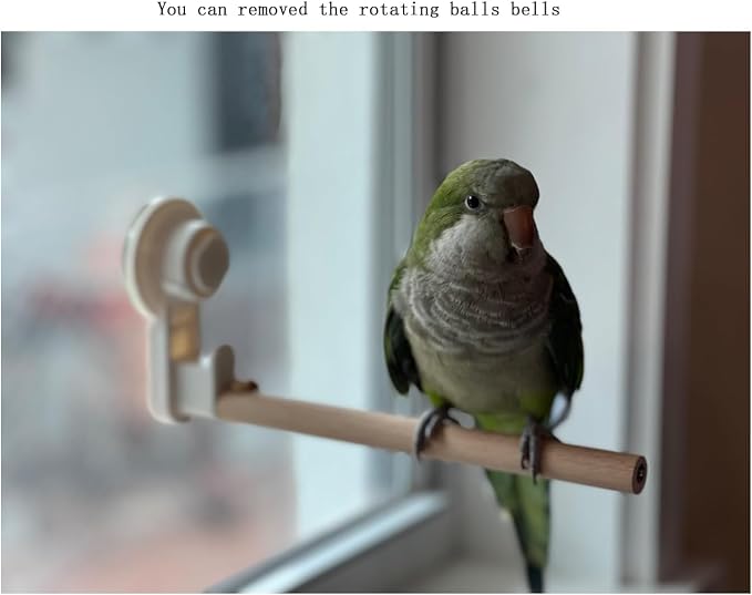 Window Suction Cup Bird Perch Toy - Image 5