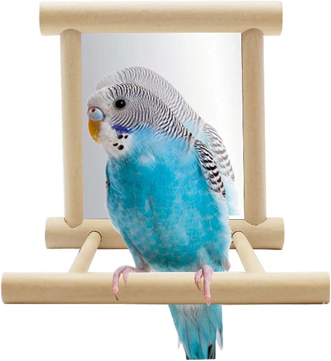 Hypeety Bird Parrot Mirror Toy Swing Hanging by Hypeety
