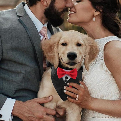 Tuxedo Dog Collar for Wedding Engagement and Birthday, Adjustable Formal Dog - Image 6