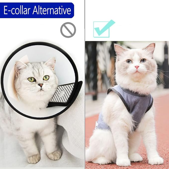 Cat Surgery Recovery Suit Cat Onesie - Image 6