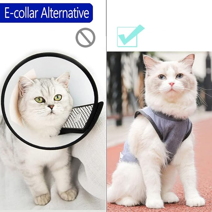 Cat Surgery Recovery Suit Cat Onesie - Image 6