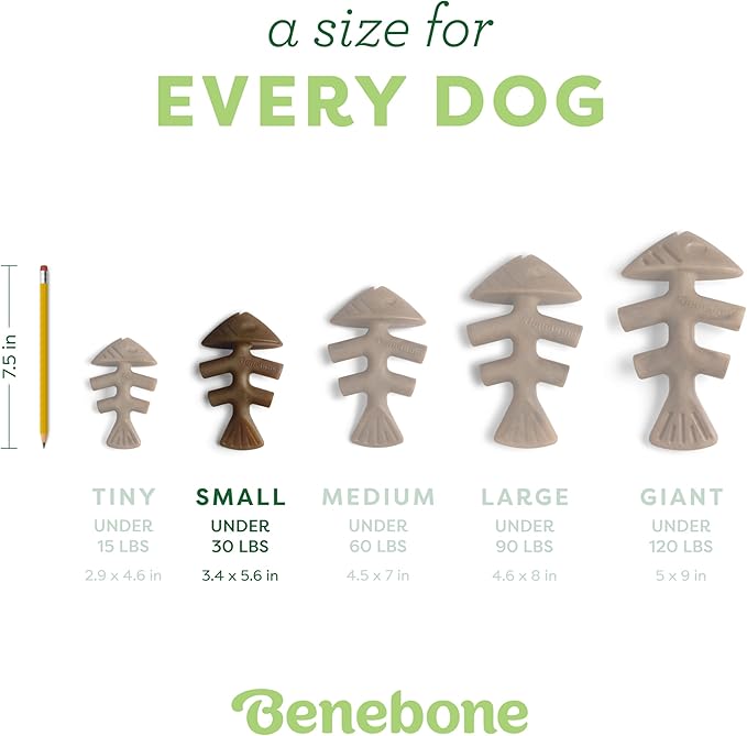 Benebone Fishbone Durable Dog Chew Toy - Image 4
