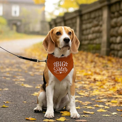 Big Sister Bandana for Dogs, Pet Pregnancy Announcement, Dark Orange Dog Bandana - Image 5
