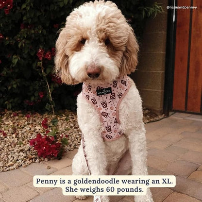 Lucy & Co. Cute Reversible Dog Harness Walking Halter - Image 4