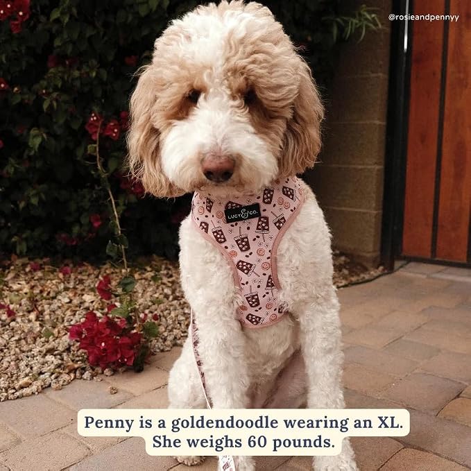 Lucy & Co. Cute Reversible Dog Harness Walking Halter - Image 4