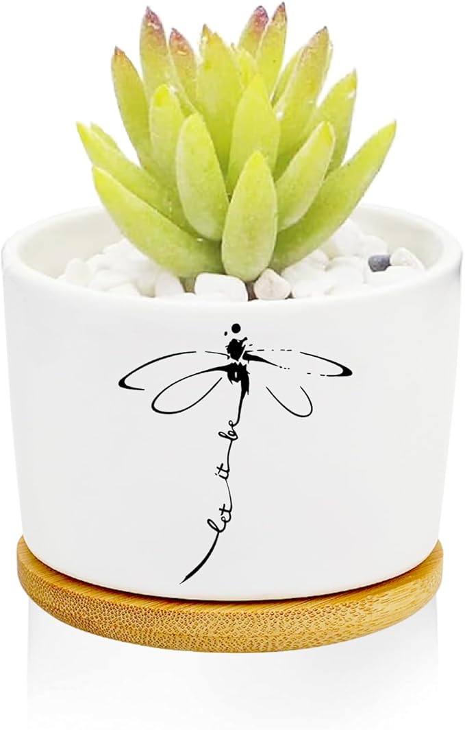 Window Garden Dragonfly Planter Pots, Dragonfly Gifts by Databa