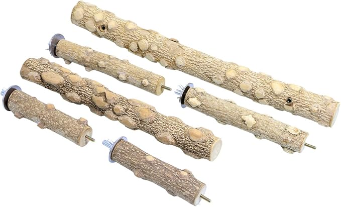 Bird Perch Stand, Bird Cage Top Perch Gym, Natural Wood Parrot Branch - Image 3