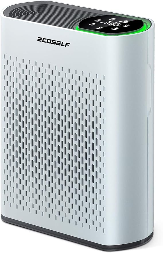 Air Purifier for Large Room, Cleans 2, 400 ft² in 30 Mins, 3-Stage True HEPA by ECOSELF