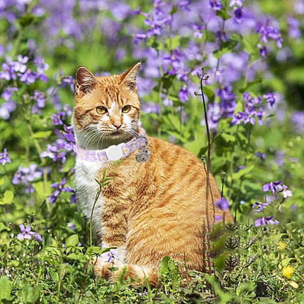Lionet Paws 2pcs Pack Cotton Cat Collar, Breakaway Buckle - Image 4