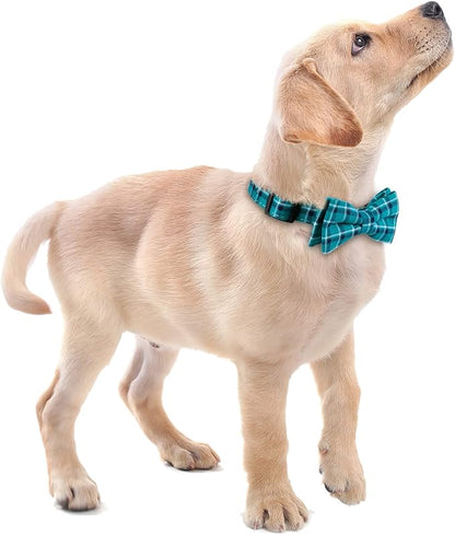 Faleela Soft &Comfy Bowtie Dog Collar, Detachable and Adjustable Bow Tie Collar - Image 6