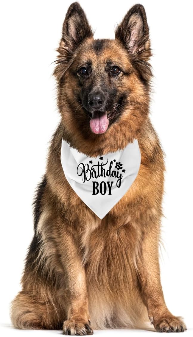 Happy Birthday Dog Bandana, Dog Bandana - Image 3
