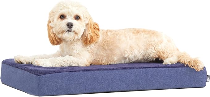 Barkbox Orthopedic Dog Bed | Comfortable Memory Foam Mattress by BARK