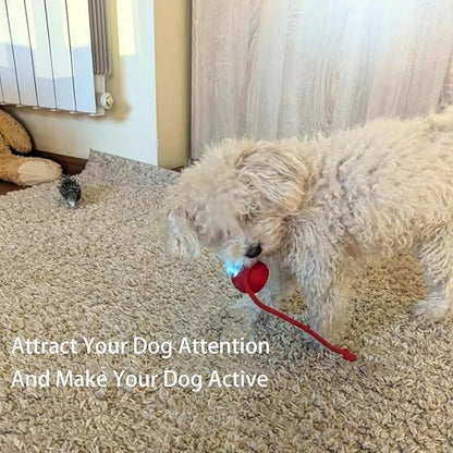 2 Packs New Electric Dog Ball Toy - Image 5
