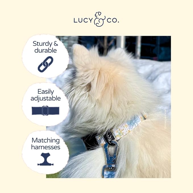 Lucy & Co. Sunshine and Daffodils Dog Collar, Adjustable Durable Dog Collar - Image 3