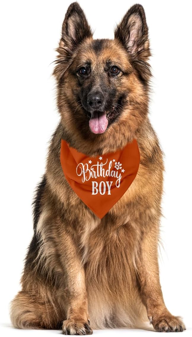 Birthday Boy Dog Bandanas - Image 3