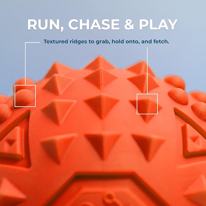 Best Pet Supplies Squeaky Dog Toys - Image 3