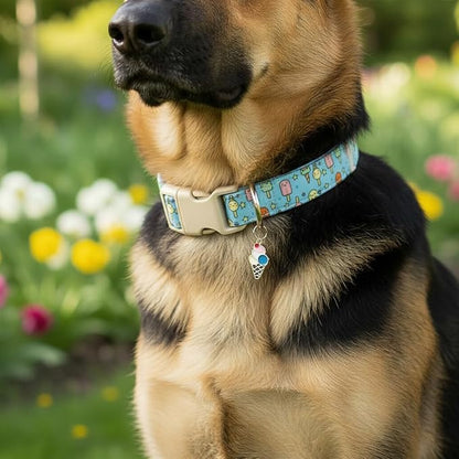 Small Dog Collar, Cute Dog Collar - Image 5