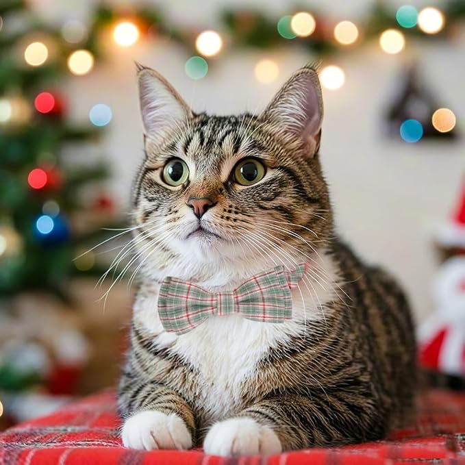 2 Pack Soft Cotton Cat Collars - Image 6
