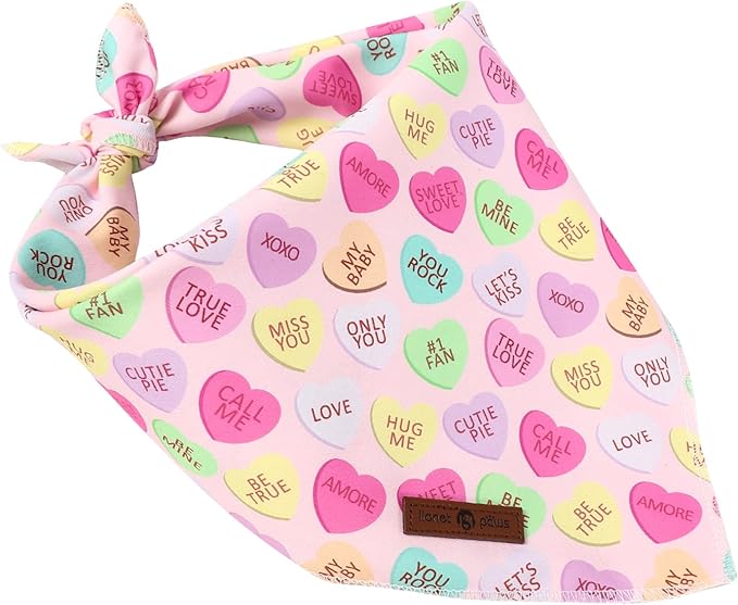 Lionet Paws Valentine's Day Dog Bandana Washable Cotton Beige Handkerchief - Image 3