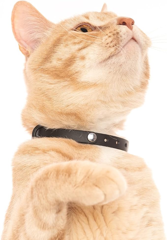 3 Pack Breakaway Cat Collar - Image 5