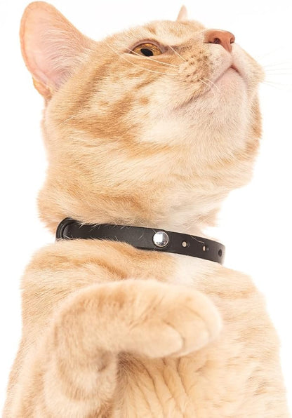 3 Pack Breakaway Cat Collar - Image 5